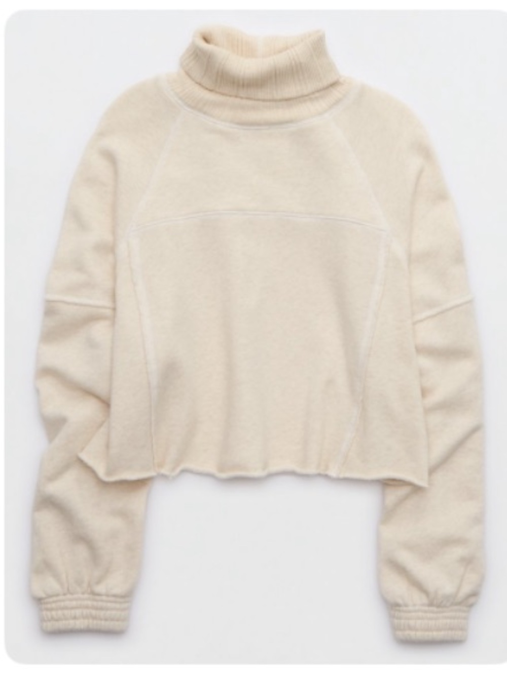 Aerie new heights turtleneck